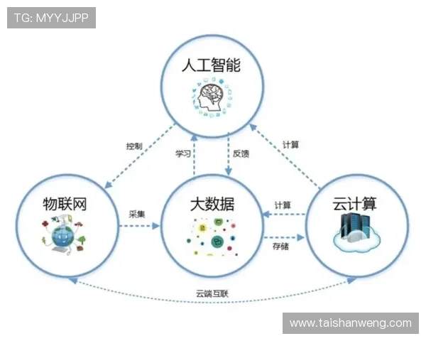 问鼎数字站：融合人工智能与大数据推动行业发展新变革的探索者