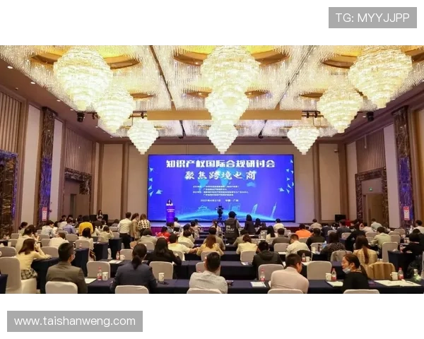 问鼎国际入口：推动企业跨境合作与国际资源整合的桥梁